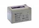 Victron AGM Accu 12V/14Ah